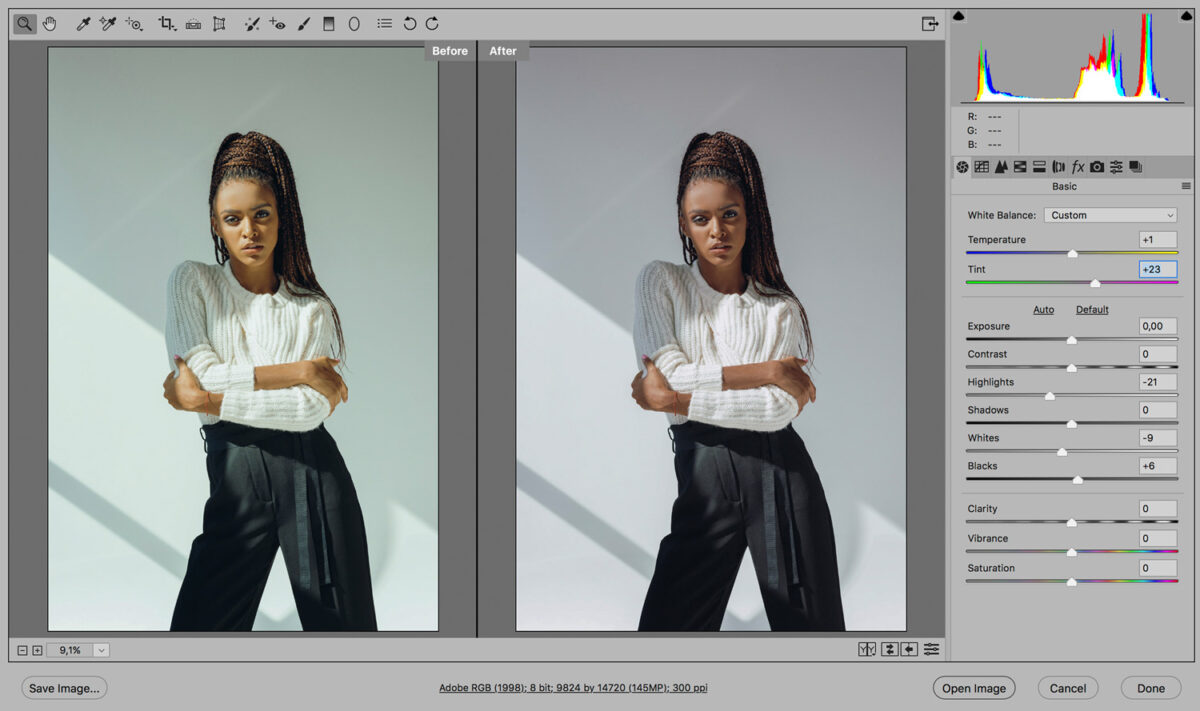 RAW converter